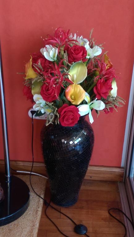 פרטוריה Red Square Home מראה חיצוני תמונה